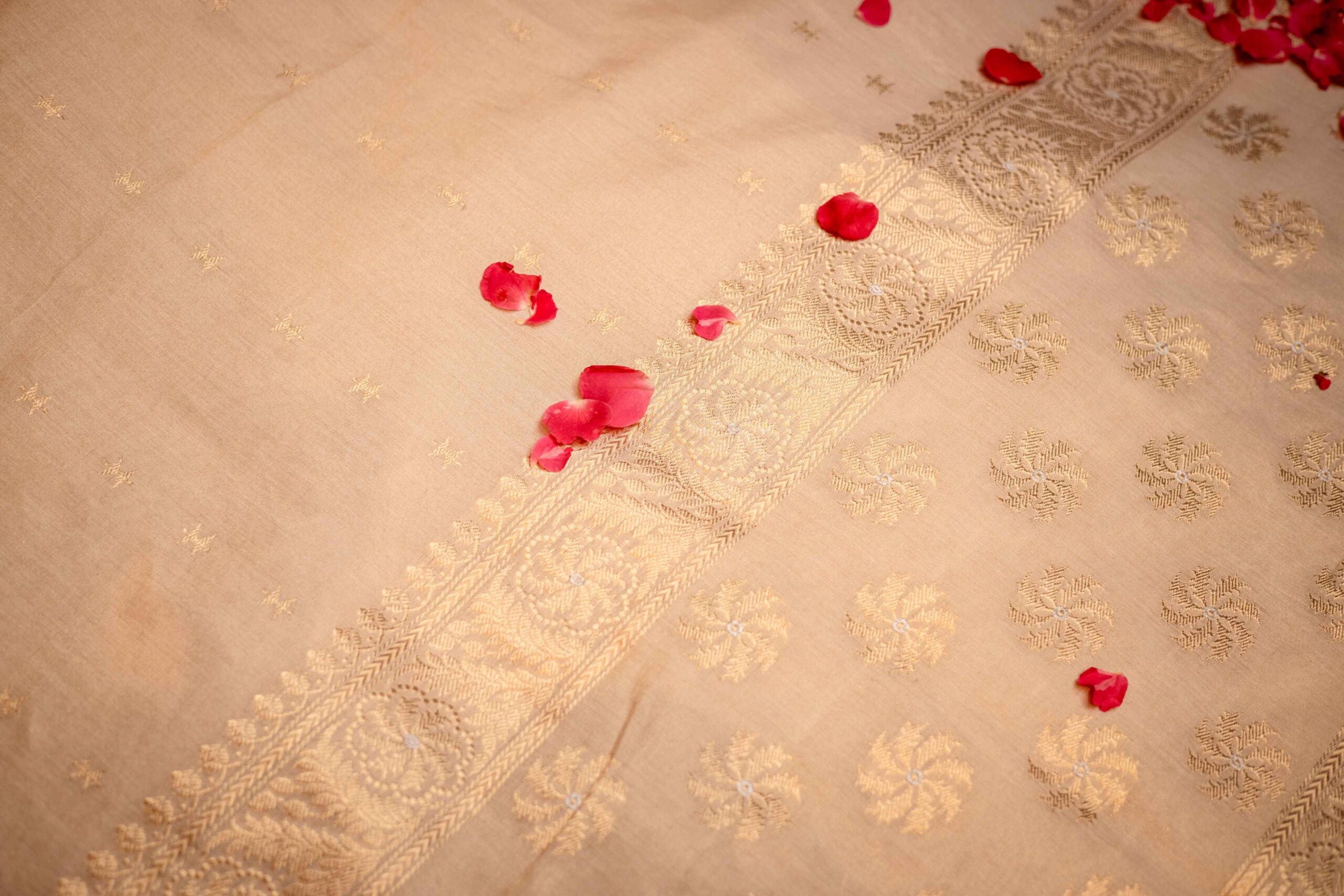 Beige Tissue Benaras Saree Pink Trim Gold Zari Embossed Borders