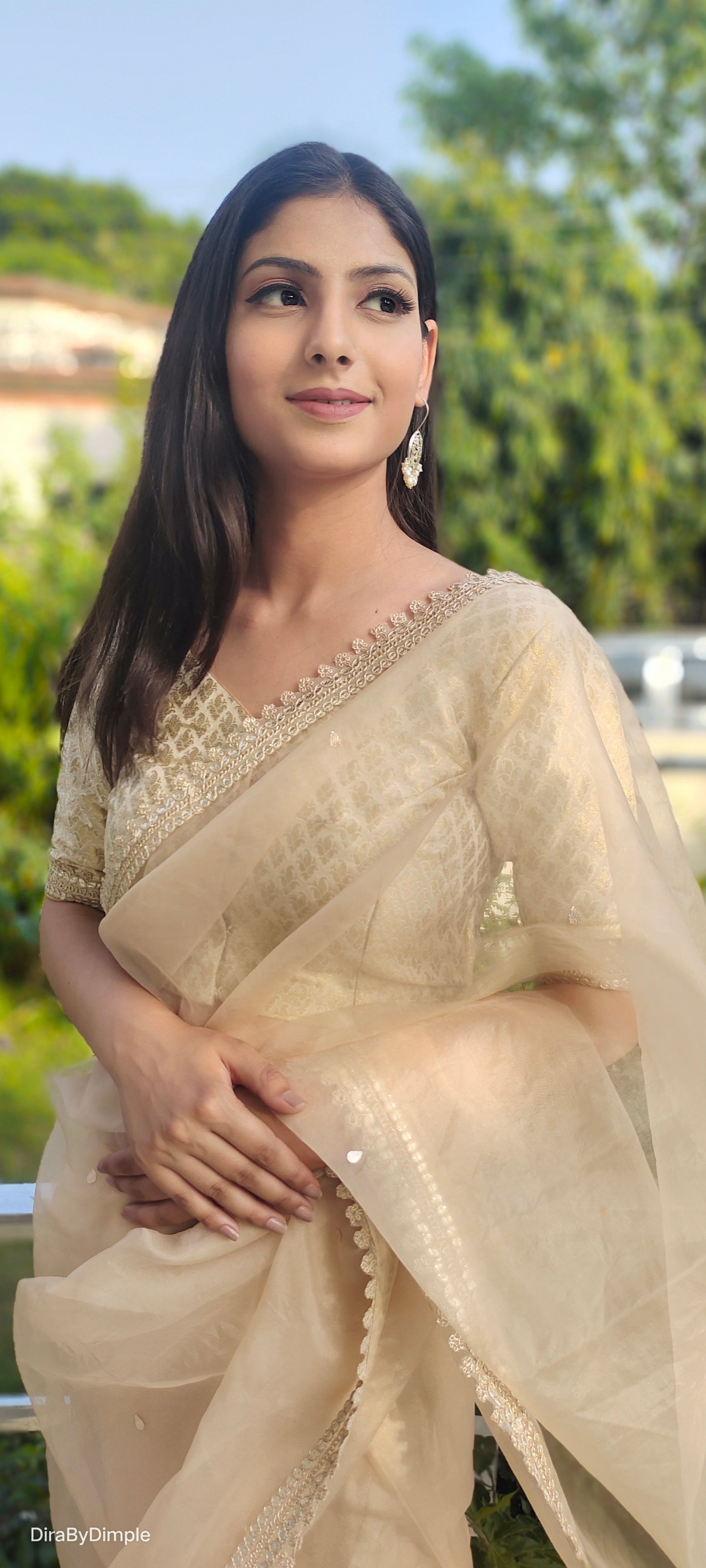 Beige Floral Organza Saree Leaf Work Lace Border