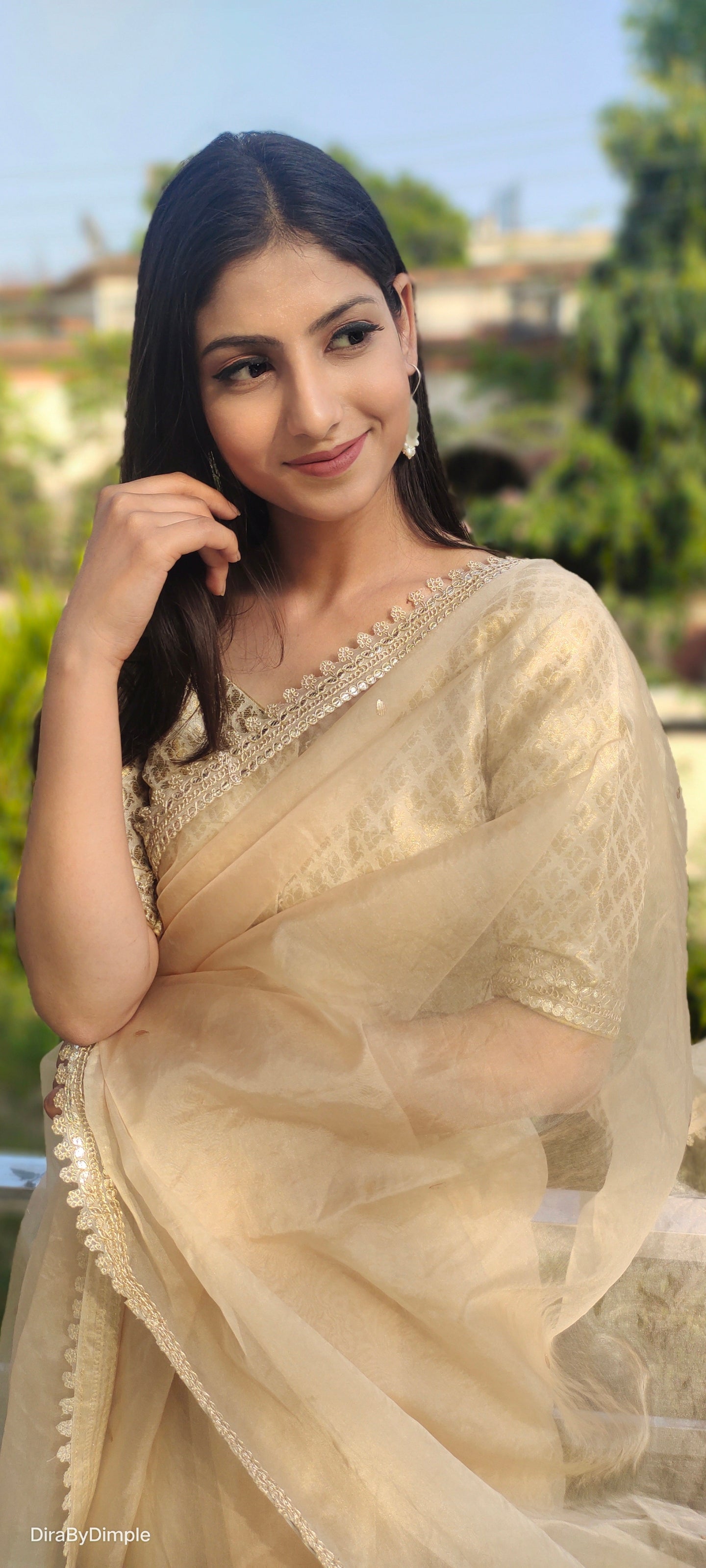 Beige Floral Organza Saree Leaf Work Lace Border