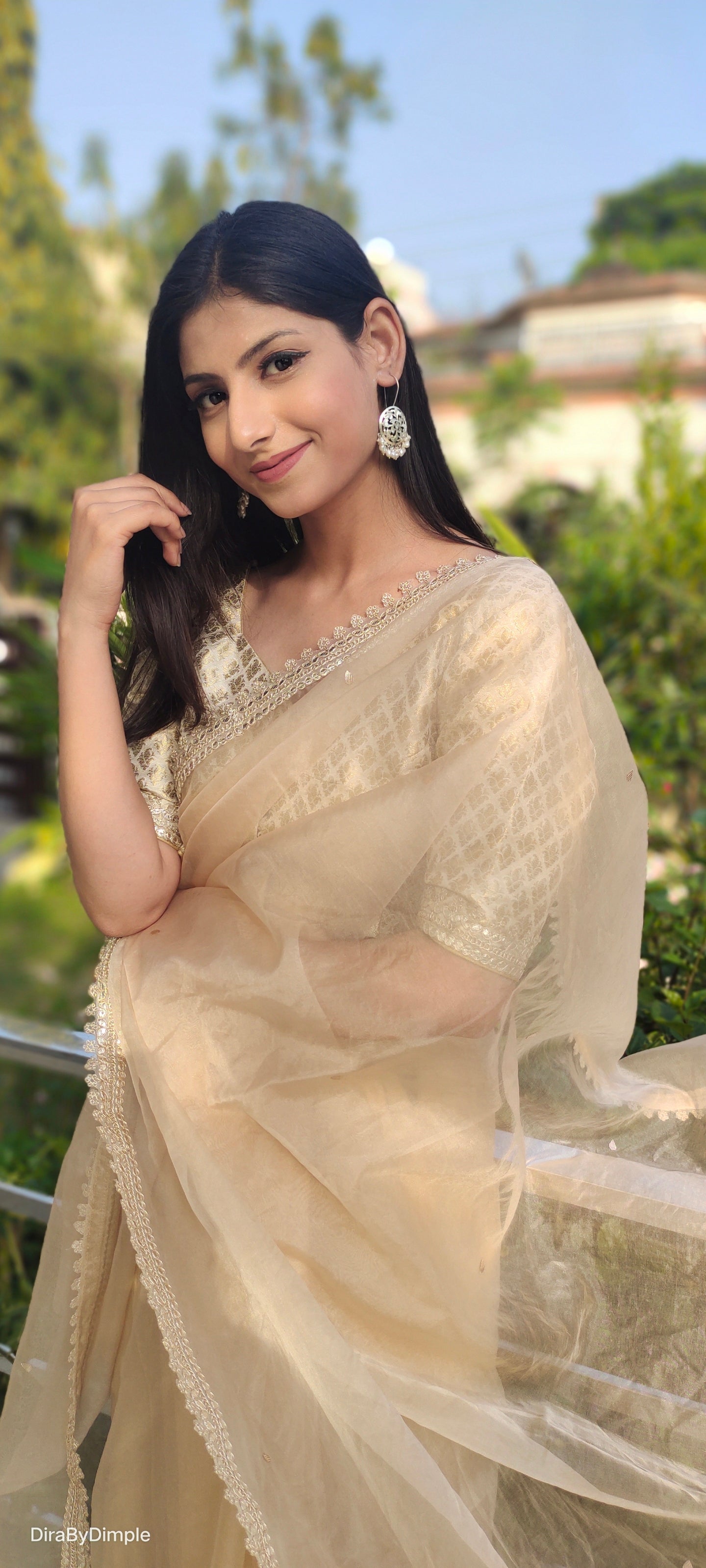 Beige Floral Organza Saree Leaf Work Lace Border