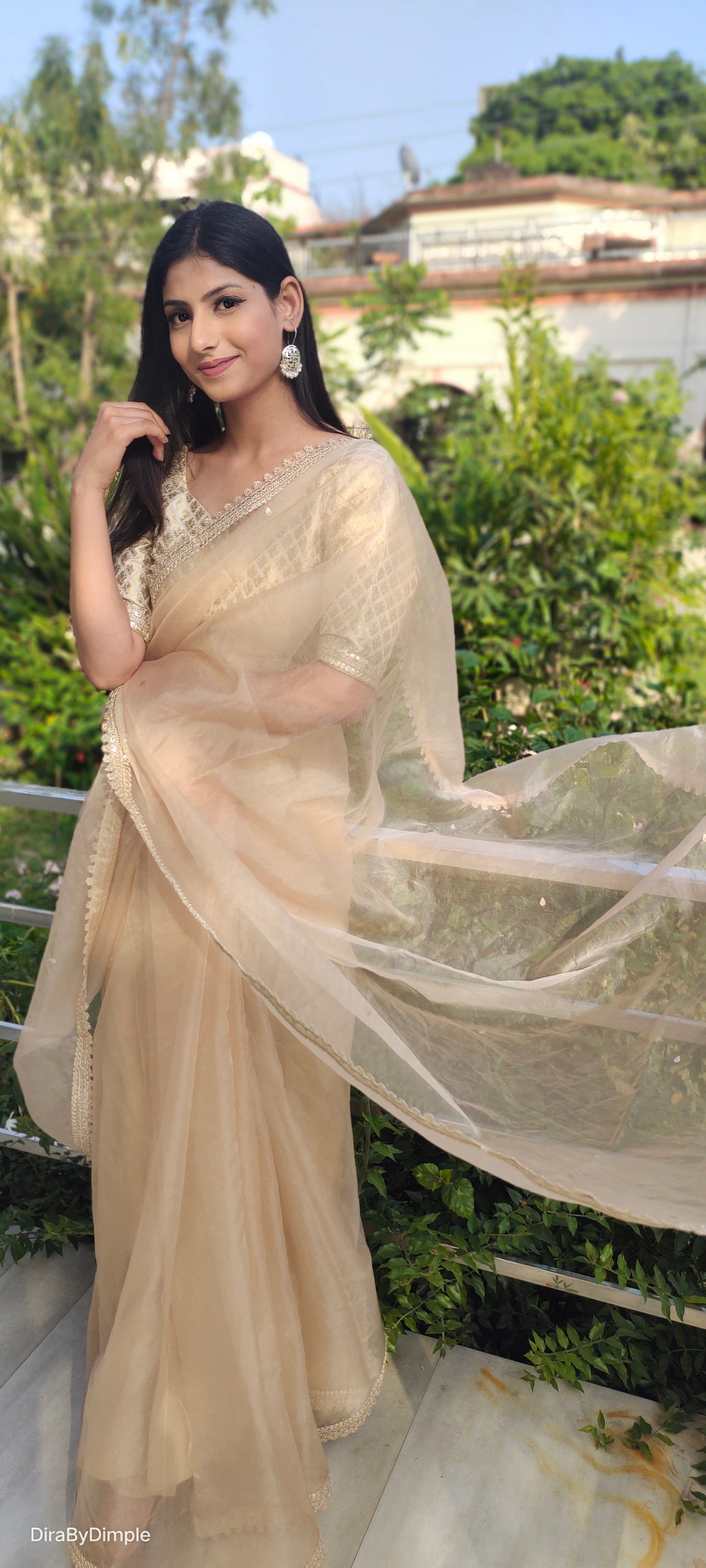 Beige Floral Organza Saree Leaf Work Lace Border