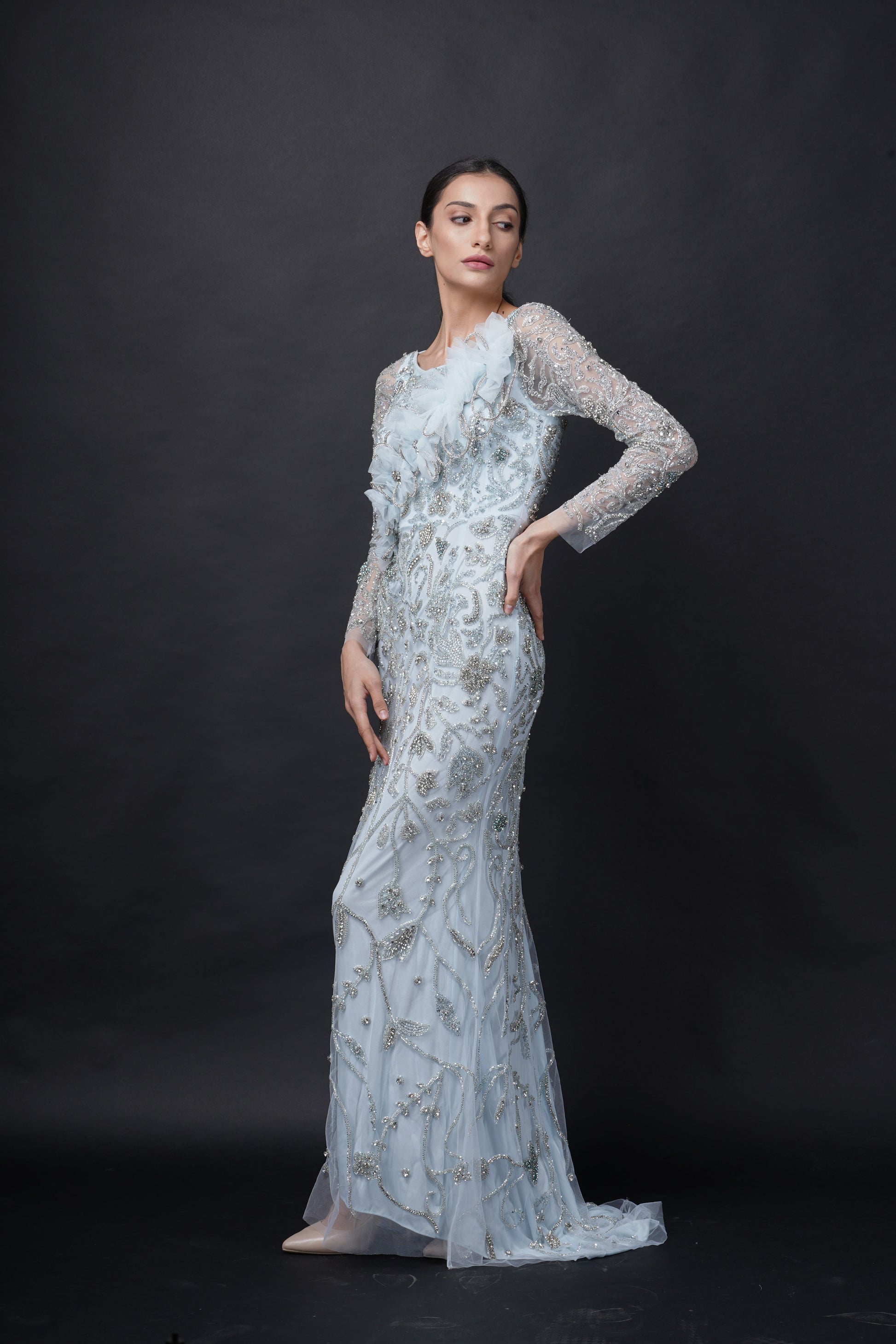 Fairytale Baby Blue Viscose Tulle Wisteria Dream Embroidered Gown