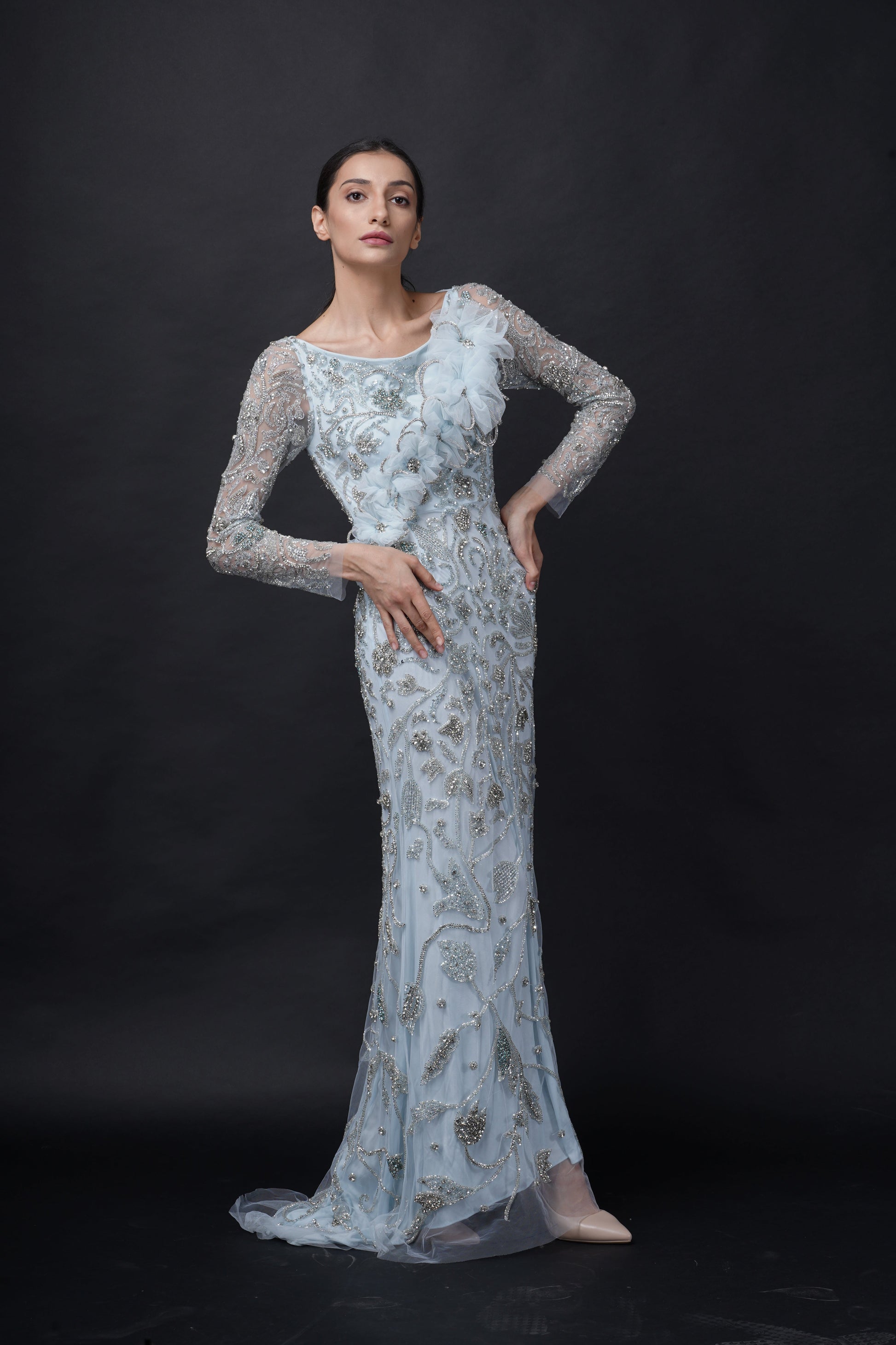 Fairytale Baby Blue Viscose Tulle Wisteria Dream Embroidered Gown