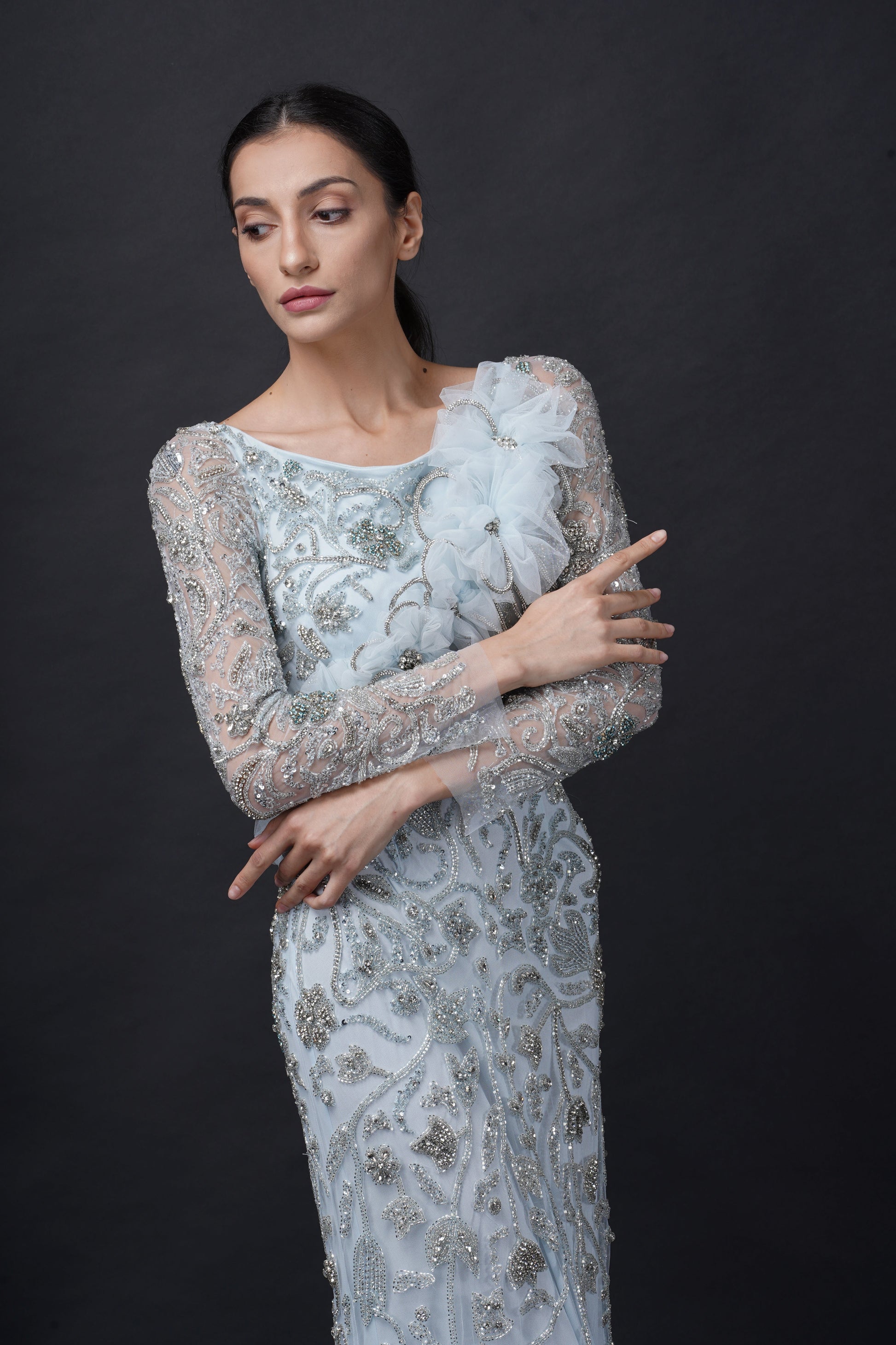 Fairytale Baby Blue Viscose Tulle Wisteria Dream Embroidered Gown