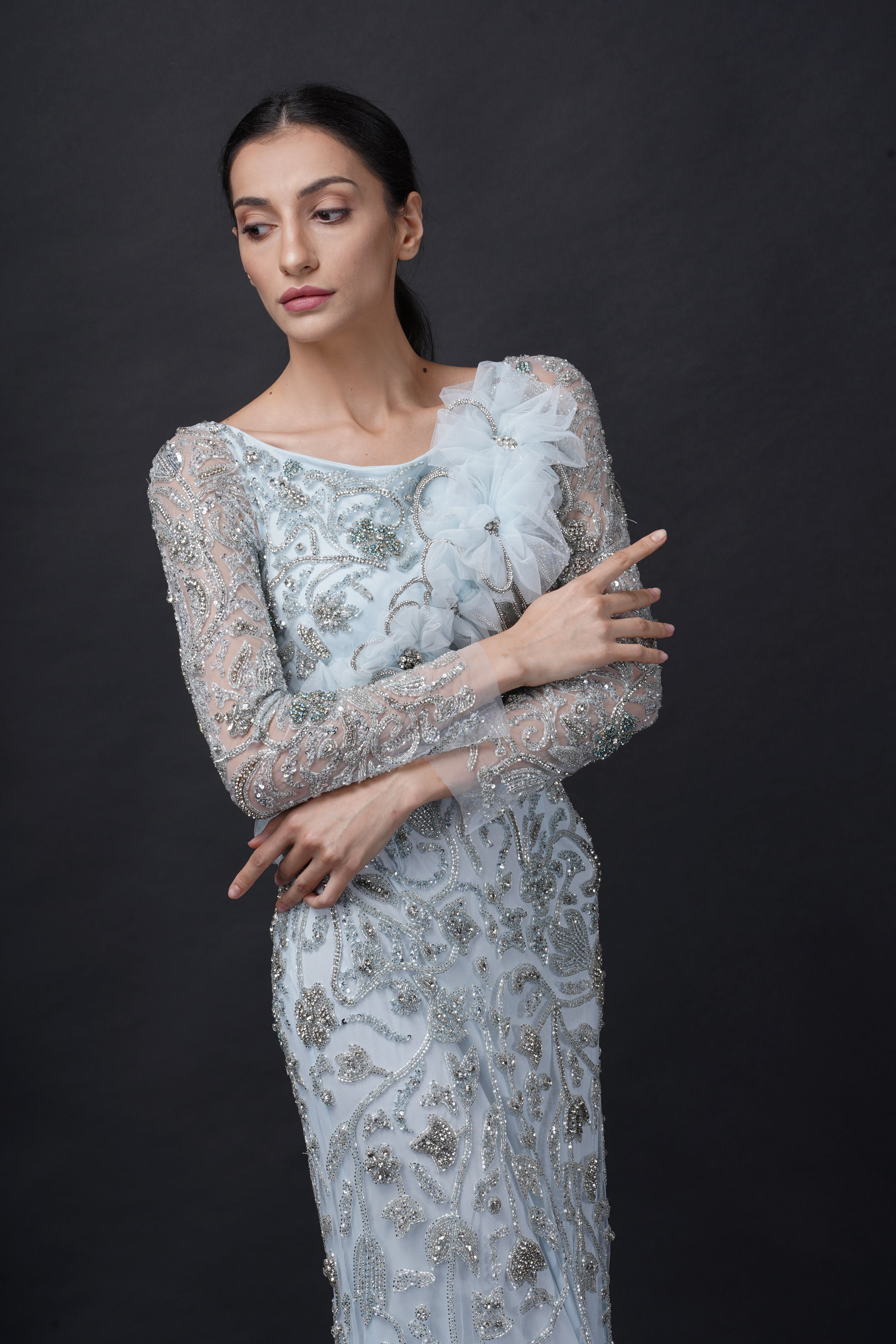 Fairytale Baby Blue Viscose Tulle Wisteria Dream Embroidered Gown