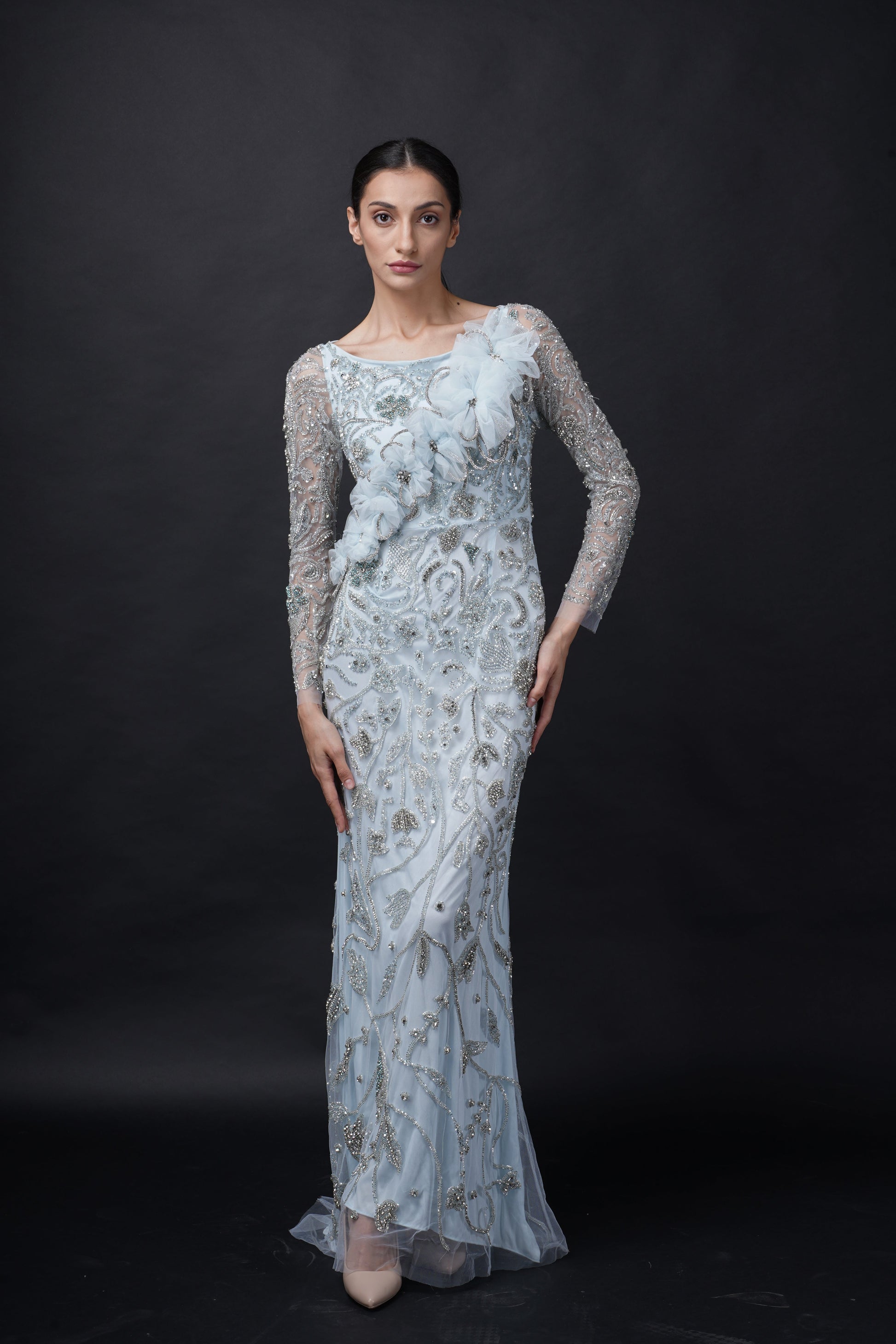 Fairytale Baby Blue Viscose Tulle Wisteria Dream Embroidered Gown