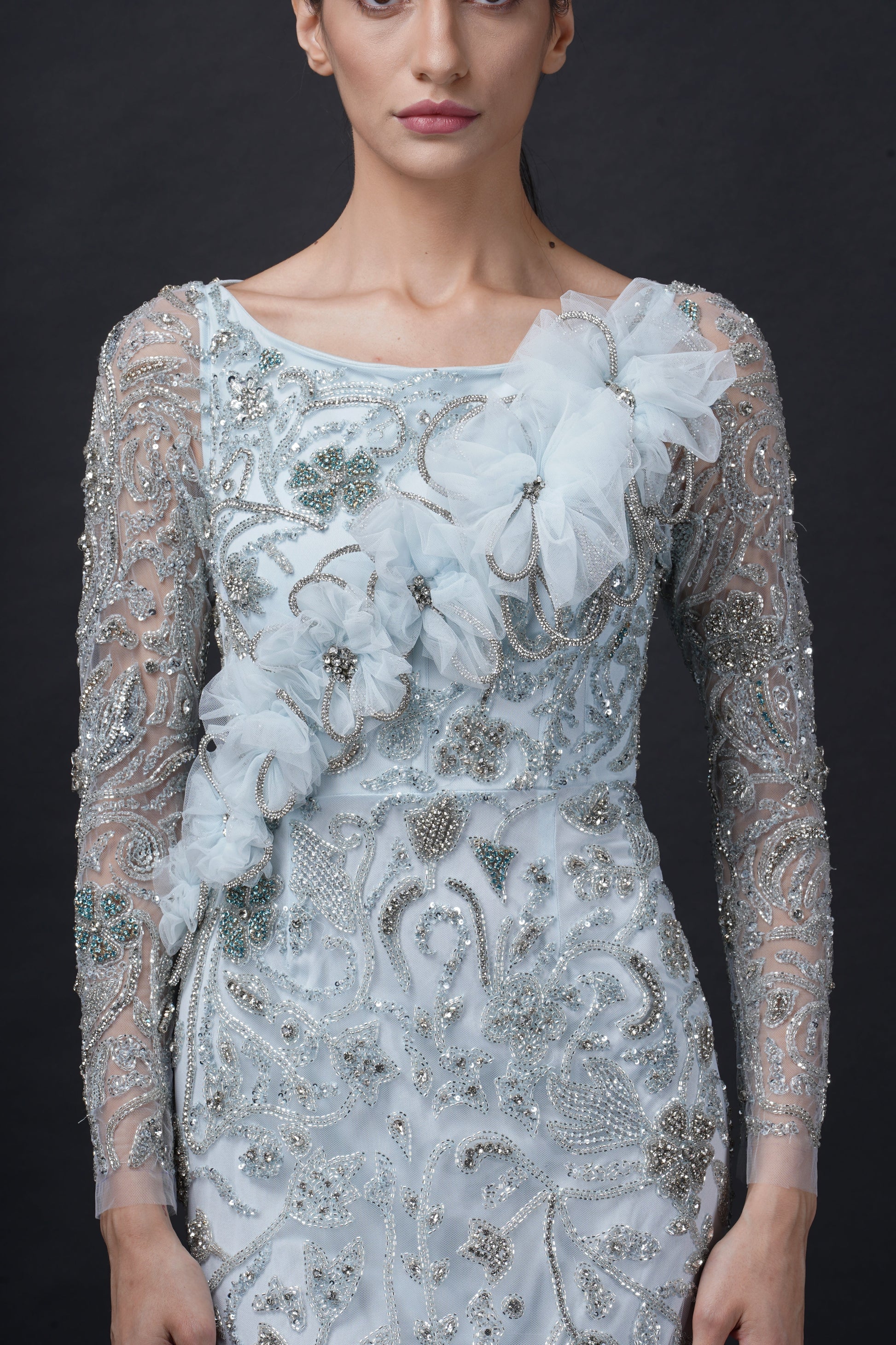 Fairytale Baby Blue Viscose Tulle Wisteria Dream Embroidered Gown