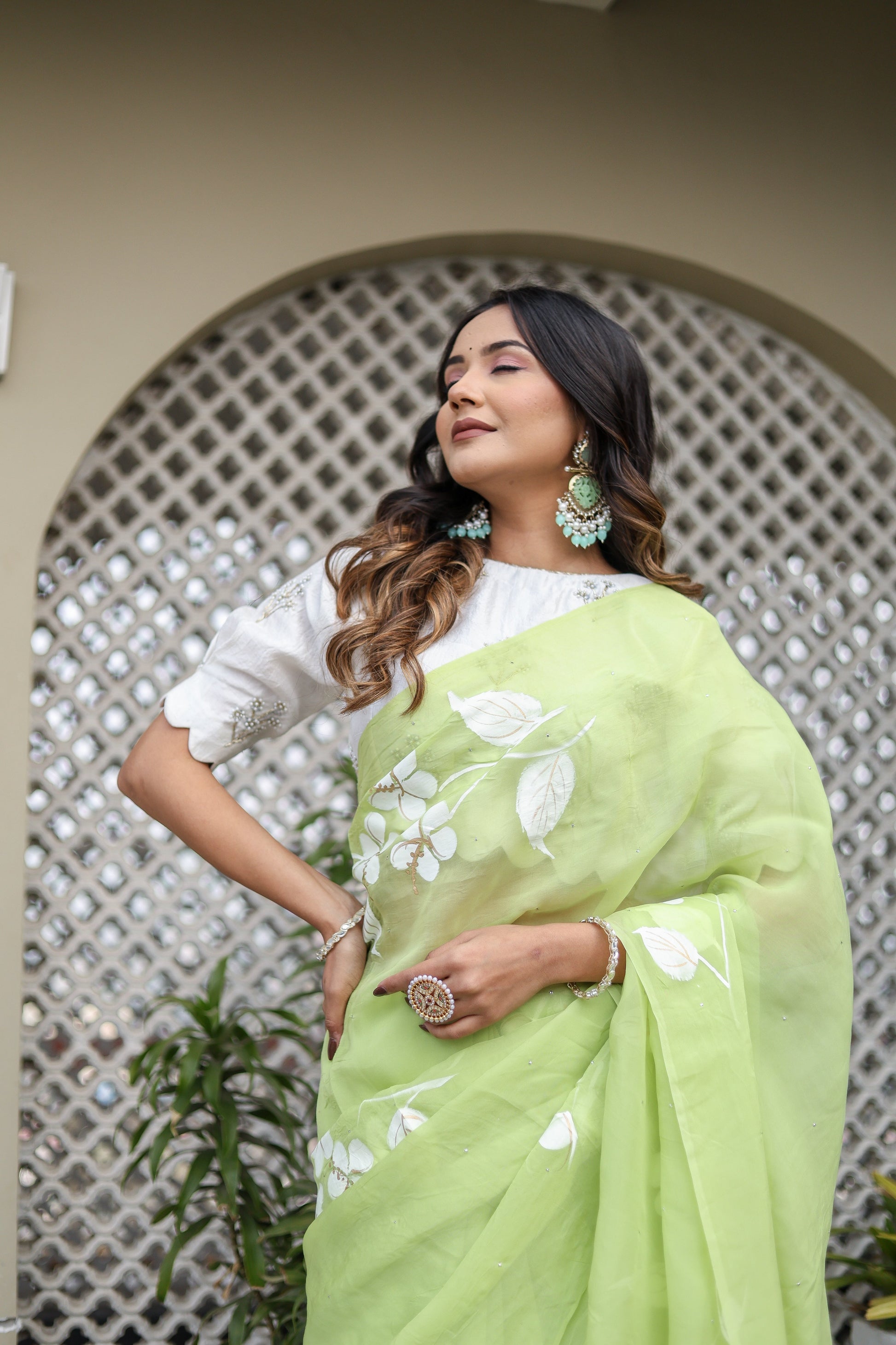 Elegant Green Viscose Organza Handpainted Mukaish Saree Floral