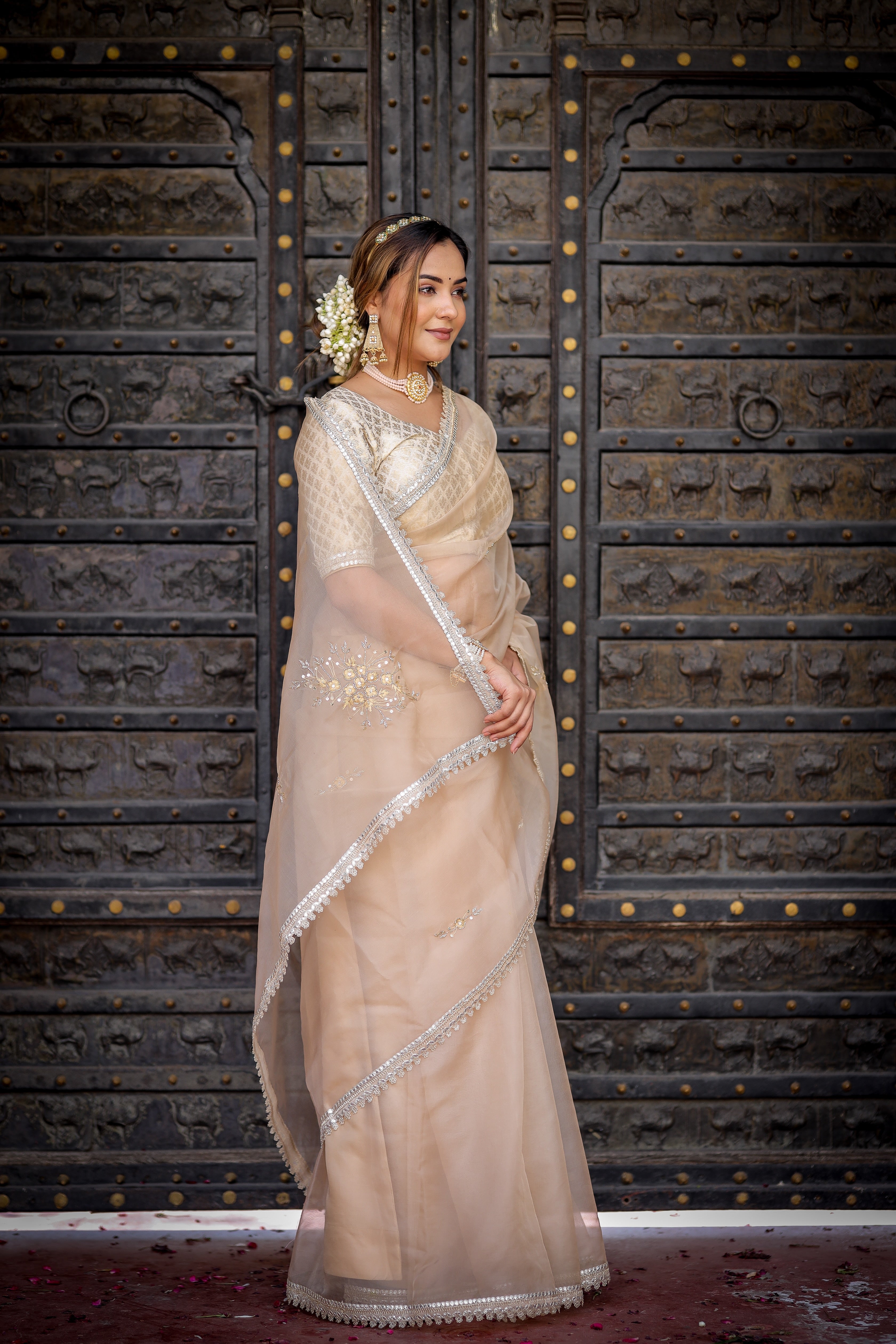 Exquisite Beige Organza Saree Hand Embroidered Floral