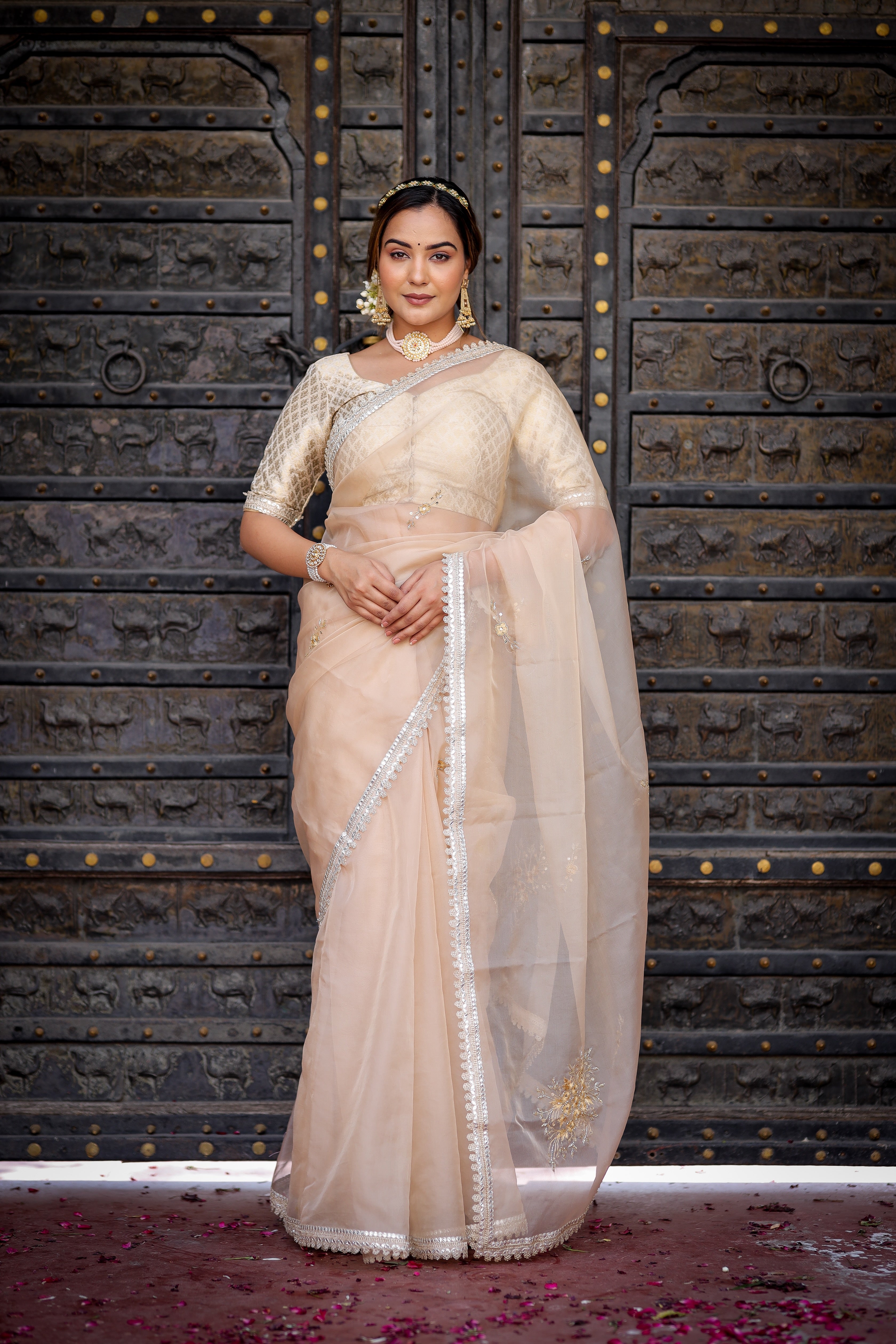 Exquisite Beige Organza Saree Hand Embroidered Floral