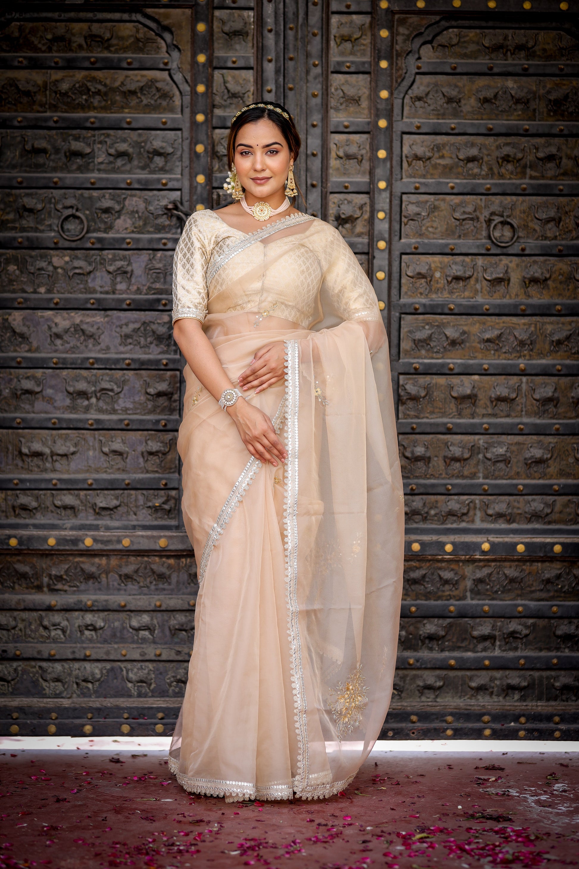 Exquisite Beige Organza Saree Hand Embroidered Floral
