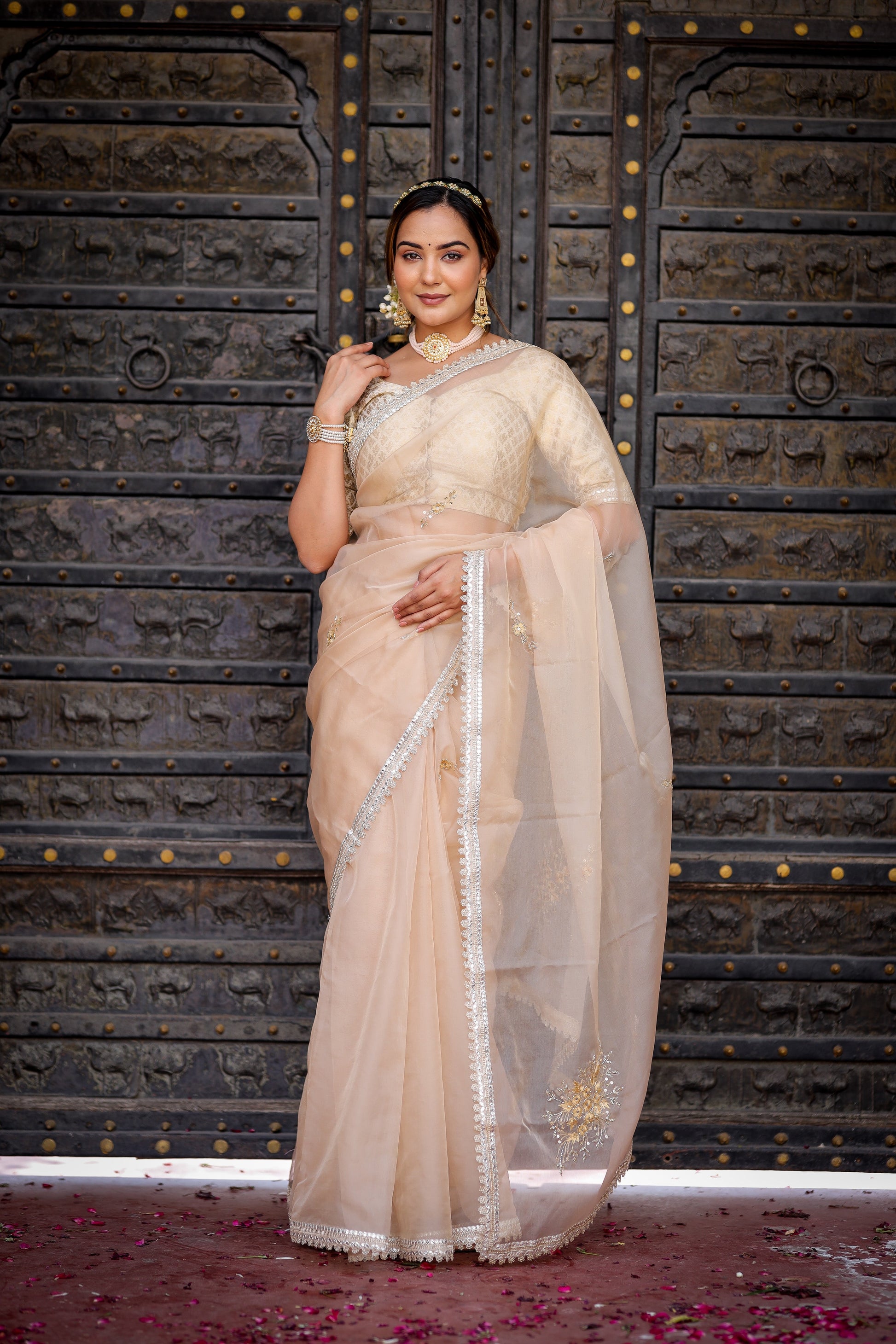 Exquisite Beige Organza Saree Hand Embroidered Floral