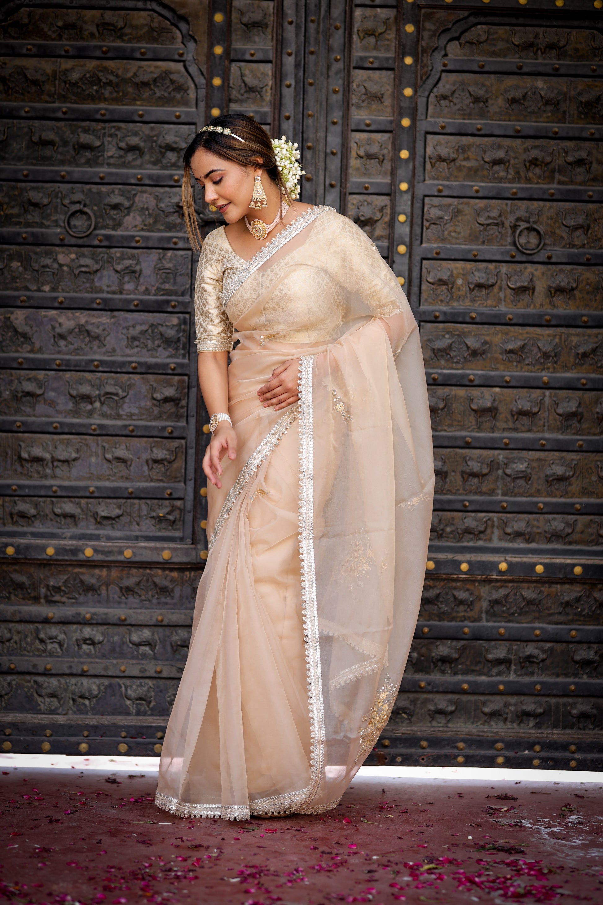 Exquisite Beige Organza Saree Hand Embroidered Floral
