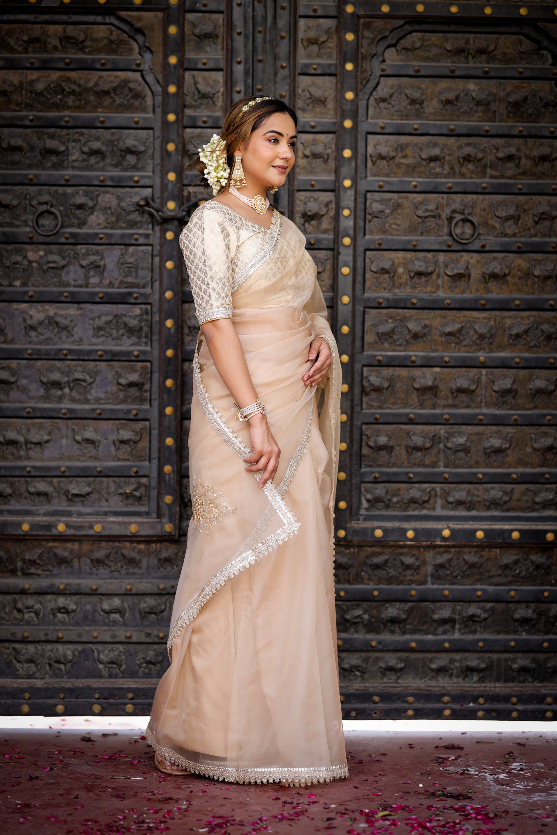 Exquisite Beige Organza Saree Hand Embroidered Floral