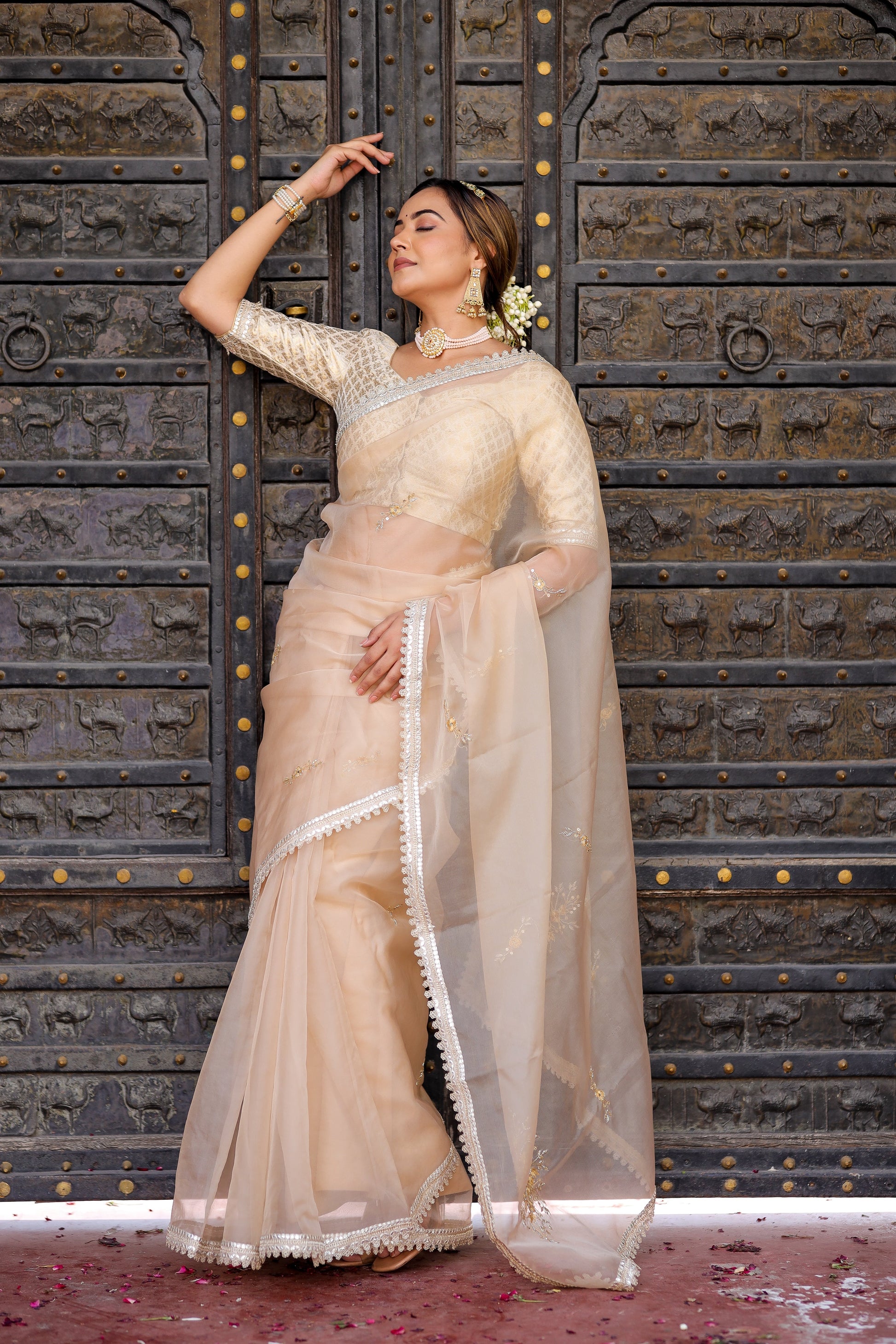 Exquisite Beige Organza Saree Hand Embroidered Floral