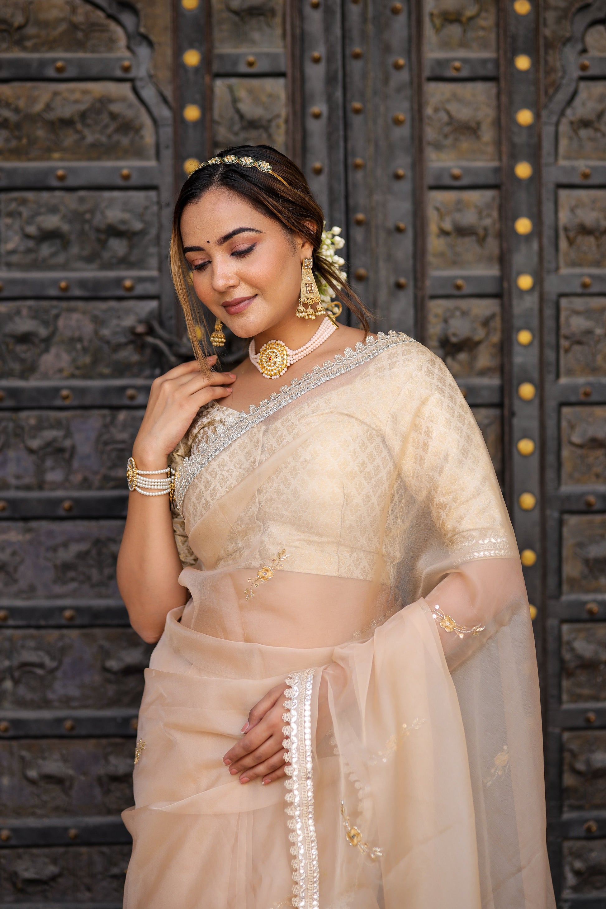 Exquisite Beige Organza Saree Hand Embroidered Floral