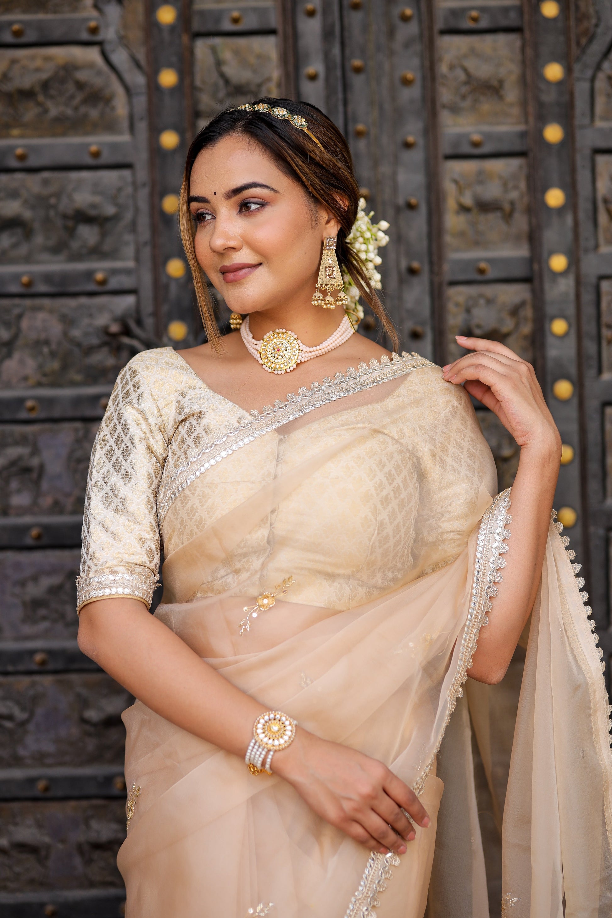 Exquisite Beige Organza Saree Hand Embroidered Floral
