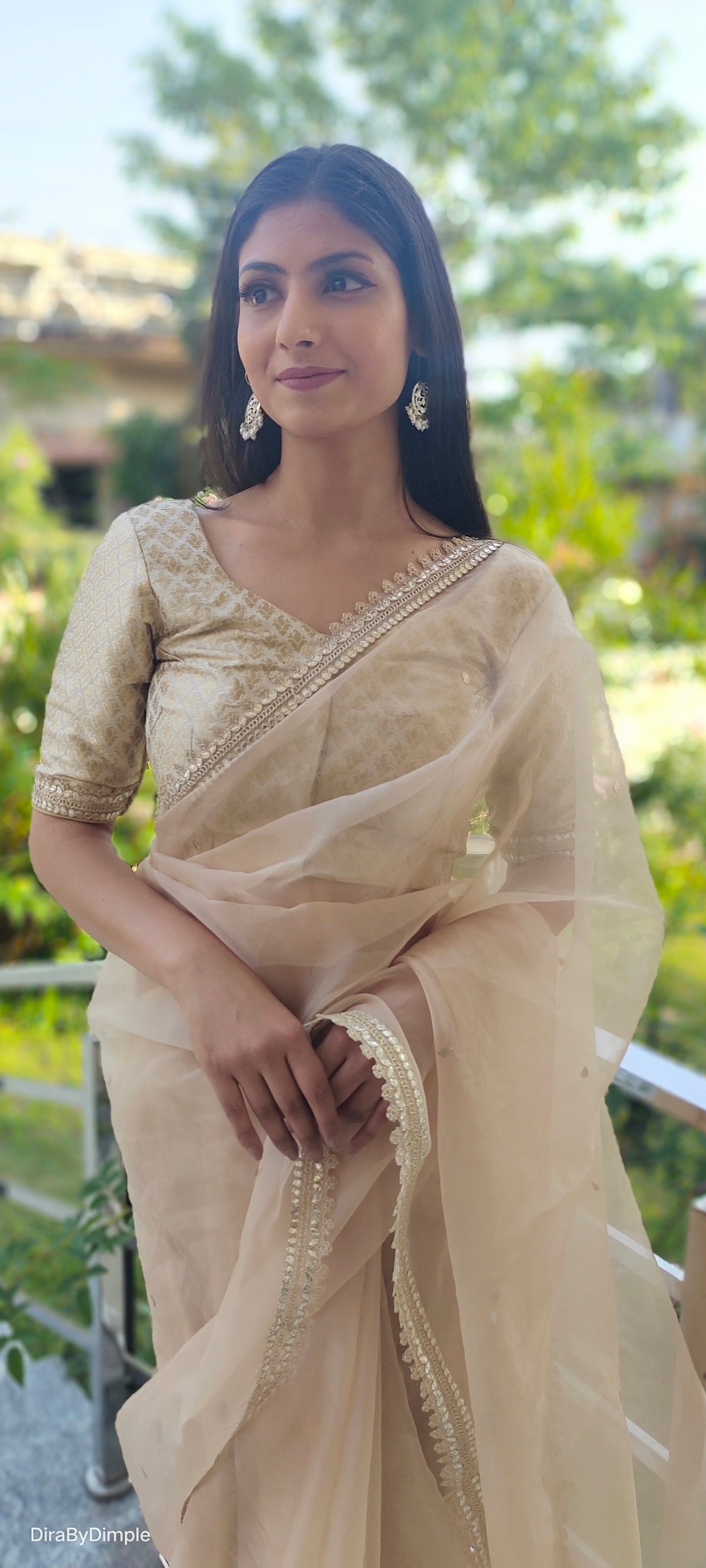 Beige Floral Organza Saree Leaf Work Lace Border