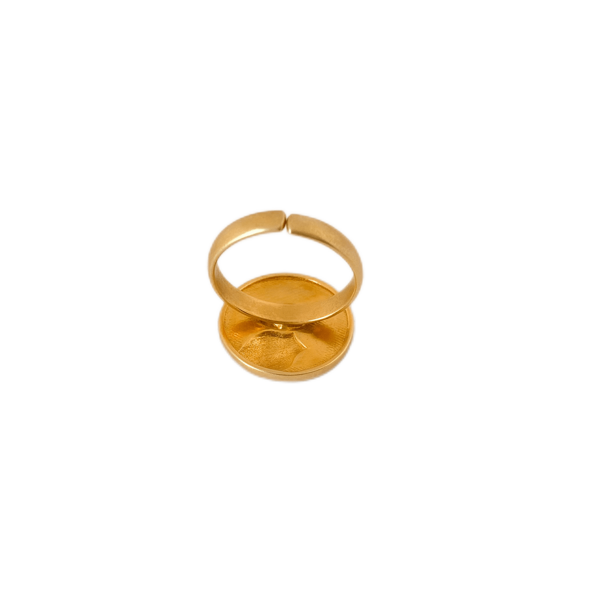 Artful Aquarius adjustable Ring