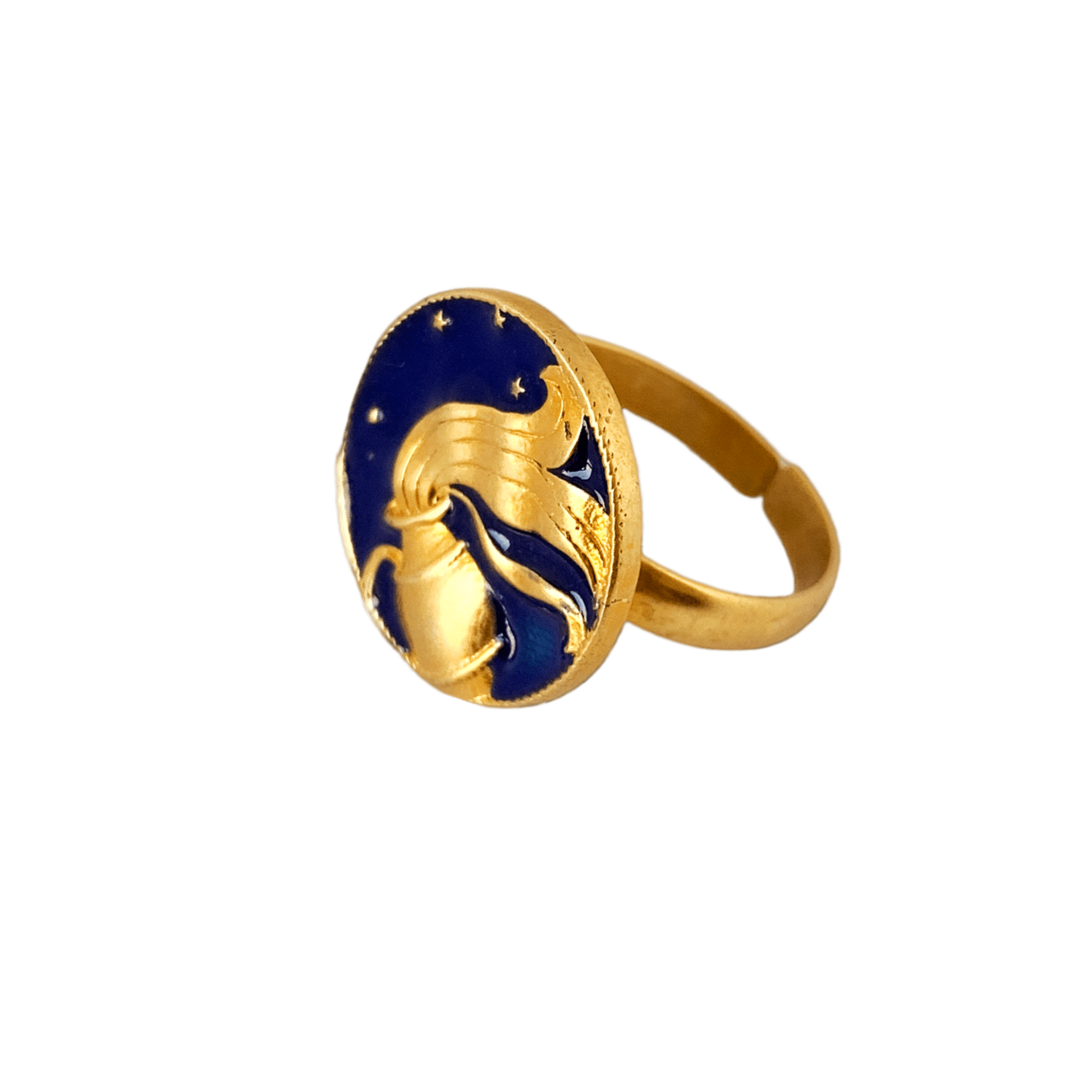 Artful Aquarius adjustable Ring