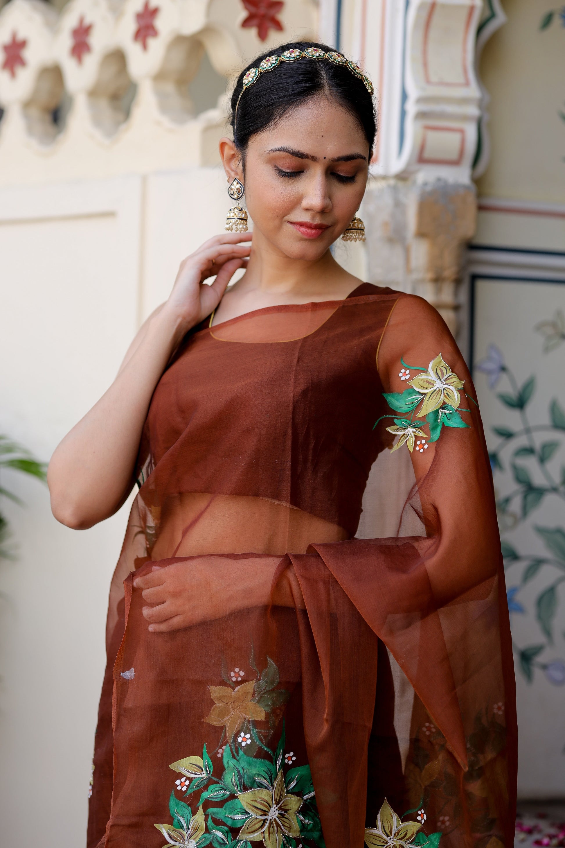 Sophisticated Brown Organza Handpainted Saree Floral