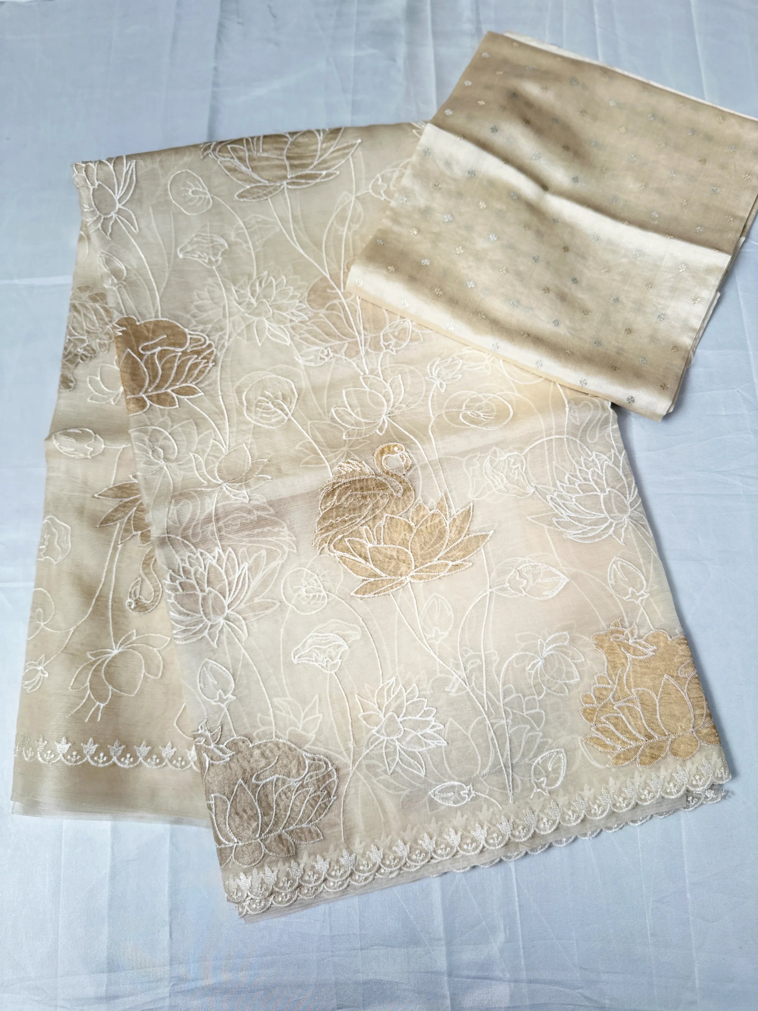 Sophisticated Beige Cream Organza Tissue Applique Saree