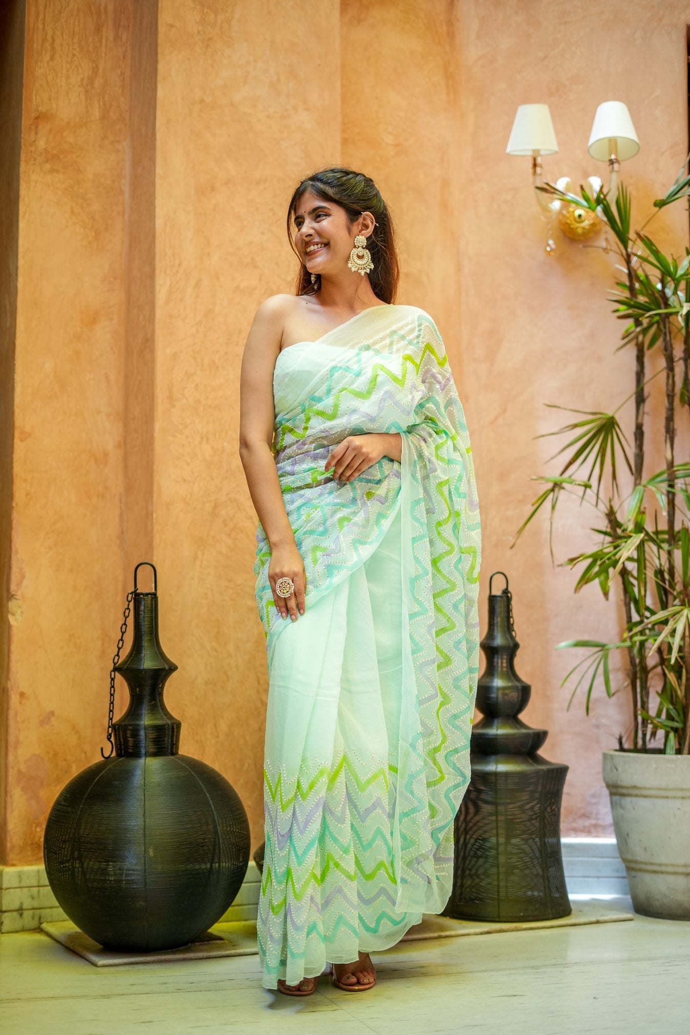 Willow Whisper (Embroidered & Handpainted Chiffon Saree)