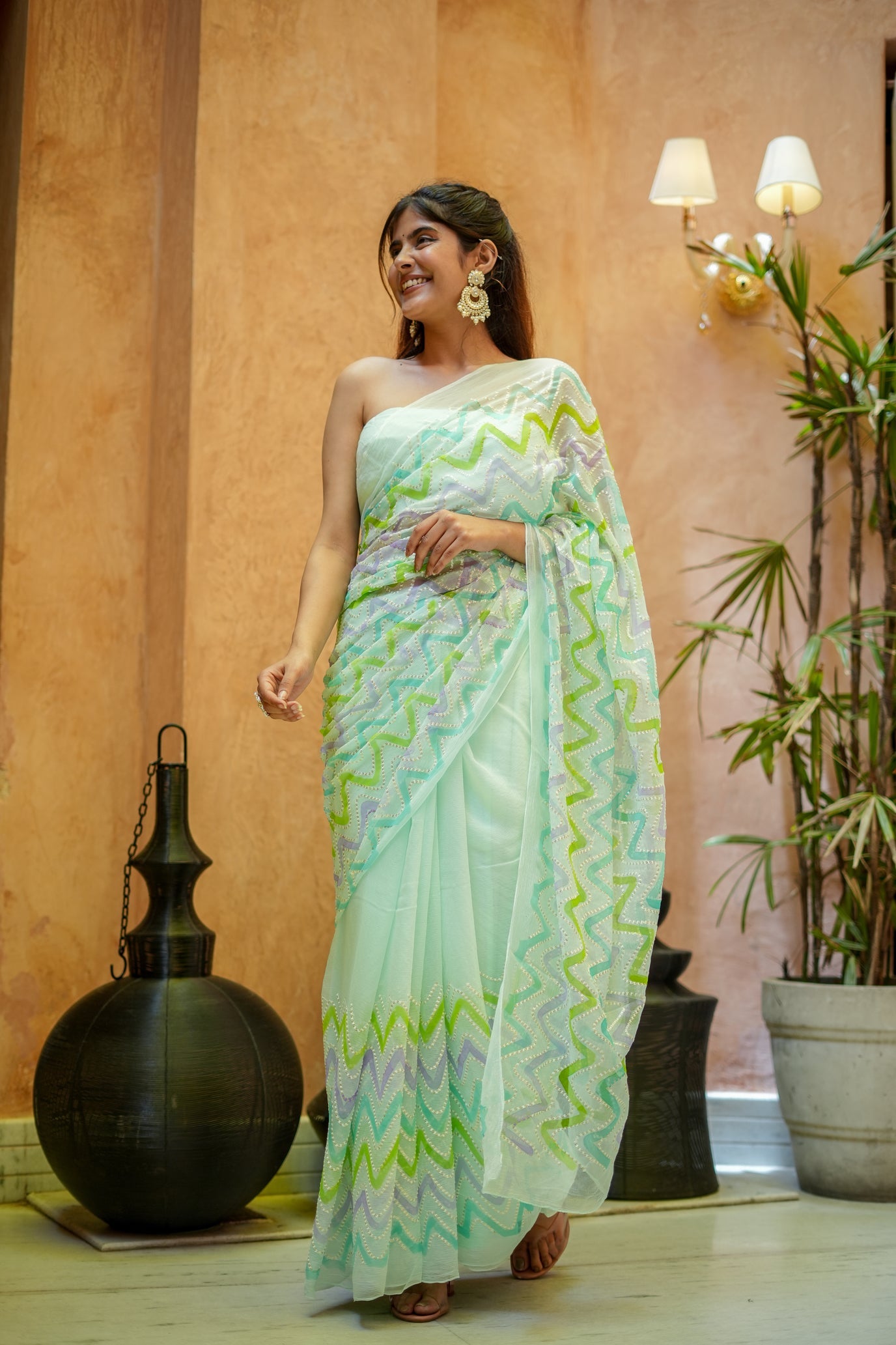 Willow Whisper (Embroidered & Handpainted Chiffon Saree)
