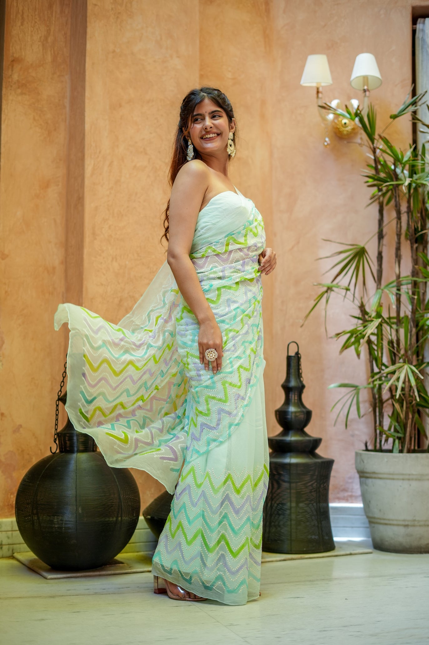 Willow Whisper (Embroidered & Handpainted Chiffon Saree)