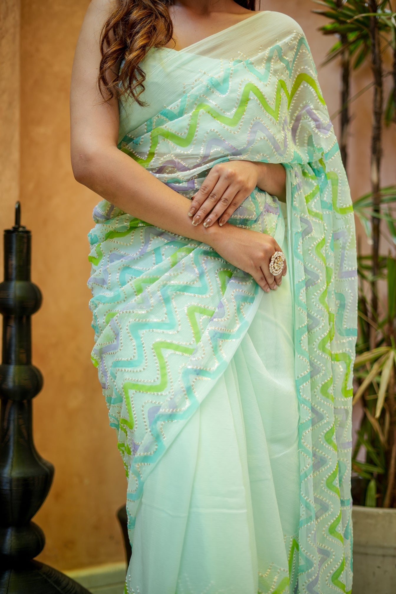 Willow Whisper (Embroidered & Handpainted Chiffon Saree)
