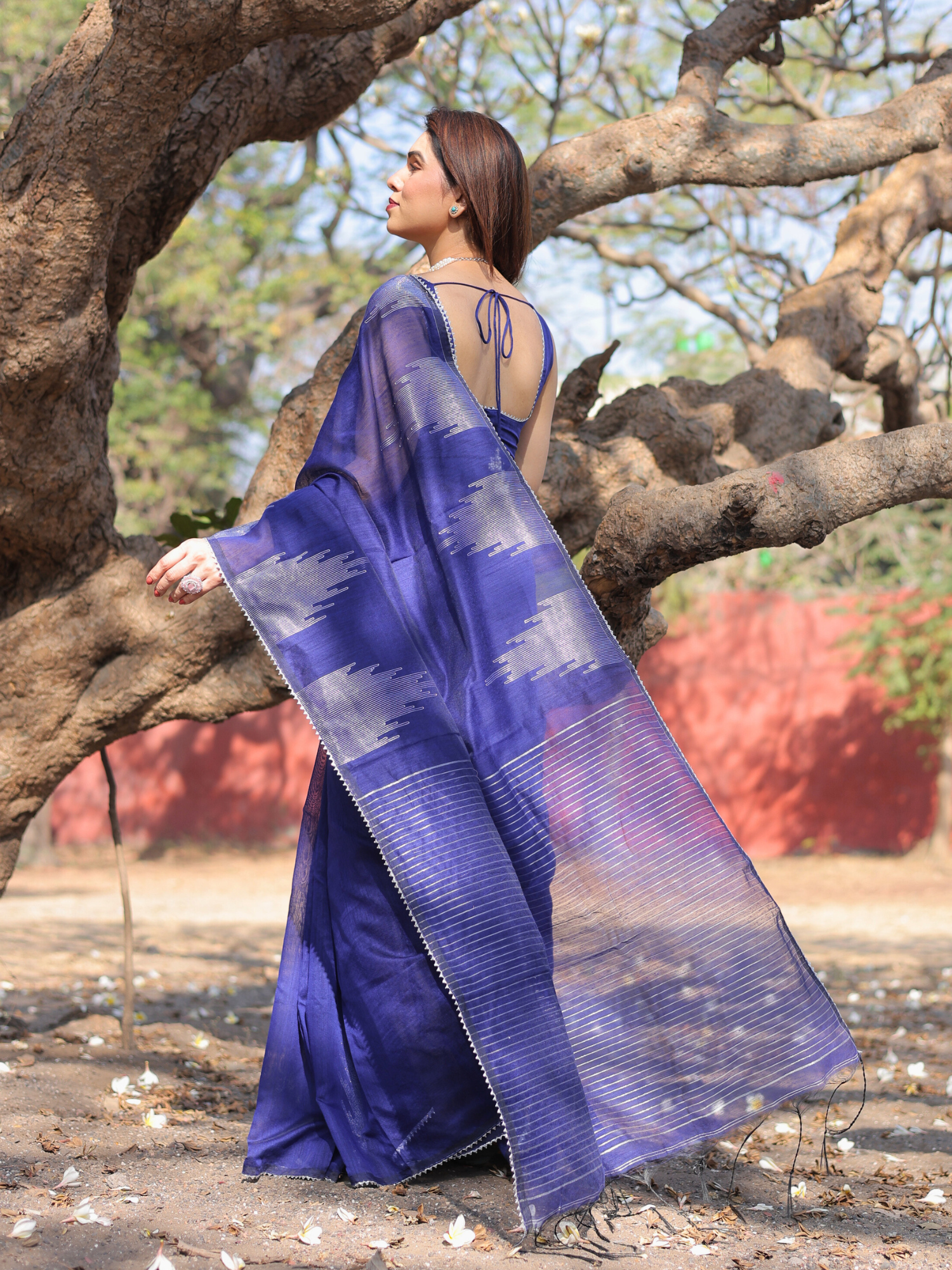Chamkeli Cotton Chandheri saree with blouse
