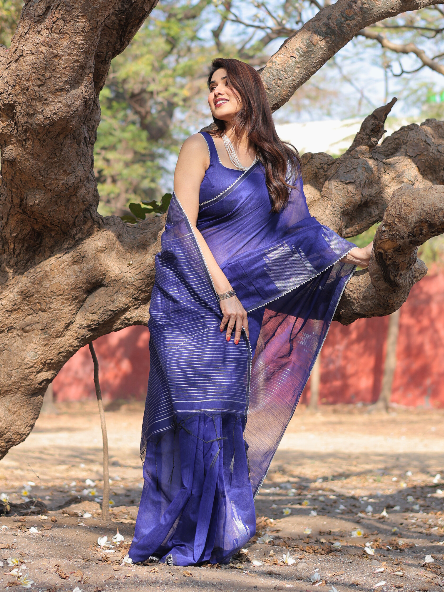 Chamkeli Cotton Chandheri saree with blouse